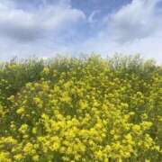 ヒメ日記 2025/05/15 10:12 投稿 ゆき ふわもこ人妻ランド　那須塩原店