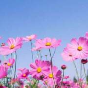 ヒメ日記 2025/10/21 10:03 投稿 ゆき ふわもこ人妻ランド　那須塩原店