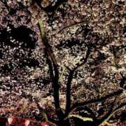 ヒメ日記 2025/12/10 23:33 投稿 ゆき ふわもこ人妻ランド　那須塩原店