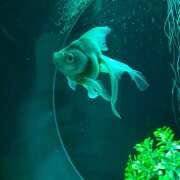 ヒメ日記 2025/05/02 17:59 投稿 さや non-non 神田(ノンノン神田)