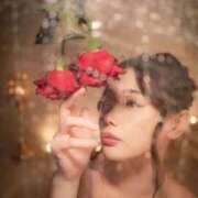 ヒメ日記 2025/04/29 09:02 投稿 こころ ムーランルージュ