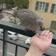 ヒメ日記 2025/06/25 09:54 投稿 こころ ムーランルージュ