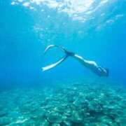 ヒメ日記 2026/01/15 10:30 投稿 こころ ムーランルージュ