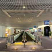 ヒメ日記 2026/03/30 11:25 投稿 こころ ムーランルージュ