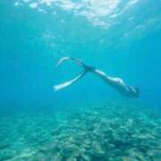 ヒメ日記 2026/04/25 12:20 投稿 こころ ムーランルージュ