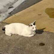 ヒメ日記 2025/09/05 19:35 投稿 まな 大塚デリ姫