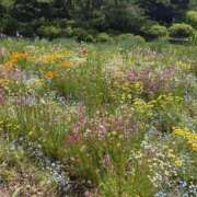ヒメ日記 2025/09/13 20:35 投稿 まな 大塚デリ姫