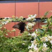 ヒメ日記 2025/09/19 17:23 投稿 まな 大塚デリ姫