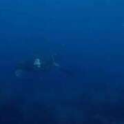 ヒメ日記 2025/05/14 22:24 投稿 まみ カワサキ EROTIC