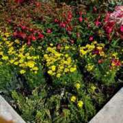 ヒメ日記 2025/05/14 23:56 投稿 まみ カワサキ EROTIC