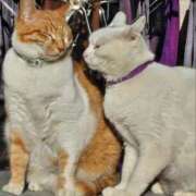 ヒメ日記 2025/05/15 19:22 投稿 まみ カワサキ EROTIC