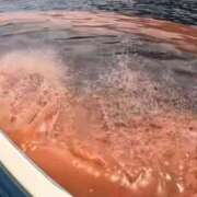 ヒメ日記 2025/05/15 19:37 投稿 まみ カワサキ EROTIC