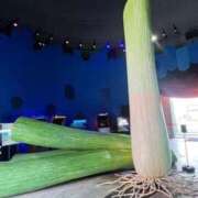 ヒメ日記 2025/05/18 23:50 投稿 まみ カワサキ EROTIC