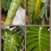 ヒメ日記 2025/05/22 13:00 投稿 まみ カワサキ EROTIC