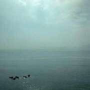 ヒメ日記 2025/06/01 22:47 投稿 まみ カワサキ EROTIC