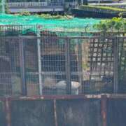 ヒメ日記 2025/06/04 17:26 投稿 まみ カワサキ EROTIC