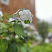 ヒメ日記 2025/06/07 16:01 投稿 まみ カワサキ EROTIC