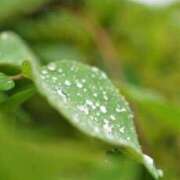 ヒメ日記 2025/06/09 10:00 投稿 まみ カワサキ EROTIC