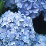 ヒメ日記 2025/06/16 23:55 投稿 まみ カワサキ EROTIC