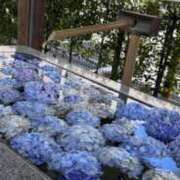 ヒメ日記 2025/06/23 23:45 投稿 まみ カワサキ EROTIC