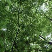 ヒメ日記 2025/06/24 23:36 投稿 まみ カワサキ EROTIC