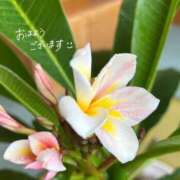 ヒメ日記 2025/06/25 09:39 投稿 まみ カワサキ EROTIC