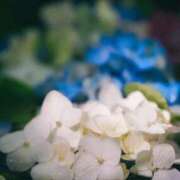 ヒメ日記 2025/07/21 08:45 投稿 まみ カワサキ EROTIC