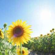 ヒメ日記 2025/07/21 17:01 投稿 まみ カワサキ EROTIC