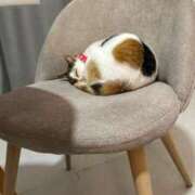 ヒメ日記 2026/01/23 23:36 投稿 まみ カワサキ EROTIC