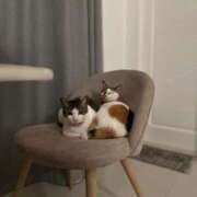 ヒメ日記 2026/01/25 23:59 投稿 まみ カワサキ EROTIC