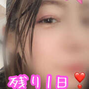 諏訪部しゅう おはようございます( ˶˙ᵕ˙˶ )☀️ ワイフコレクション