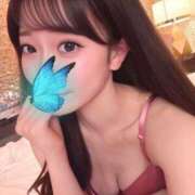 ヒメ日記 2025/09/15 12:44 投稿 遠藤ななせ ブルーバード