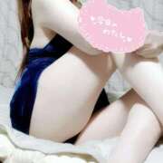 ヒメ日記 2025/08/10 19:22 投稿 まい ミセス クリエーション