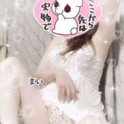 まい 212528 ミセス クリエーション