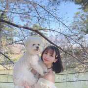 ヒメ日記 2026/03/20 13:17 投稿 CHIFUYU GRAND STAGE