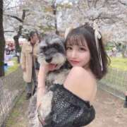 ヒメ日記 2026/03/21 07:17 投稿 CHIFUYU GRAND STAGE