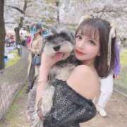 ヒメ日記 2026/03/28 07:27 投稿 CHIFUYU GRAND STAGE