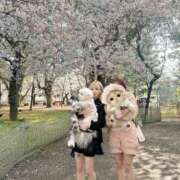 ヒメ日記 2026/04/09 13:27 投稿 CHIFUYU GRAND STAGE