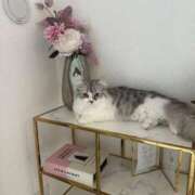 ヒメ日記 2026/04/19 07:27 投稿 CHIFUYU GRAND STAGE