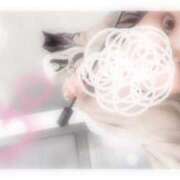 ヒメ日記 2025/04/29 08:34 投稿 柳 まりか こあくまな熟女たち 千葉店（KOAKUMAグループ）