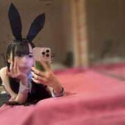 ヒメ日記 2025/09/25 06:00 投稿 みなみ JAPAN CLUB BUNNY LOUNGE