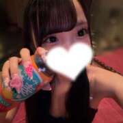 ヒメ日記 2025/11/11 07:15 投稿 みなみ JAPAN CLUB BUNNY LOUNGE