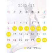 ヒメ日記 2025/11/11 12:01 投稿 みなみ JAPAN CLUB BUNNY LOUNGE