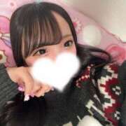 ヒメ日記 2025/11/13 05:45 投稿 みなみ JAPAN CLUB BUNNY LOUNGE