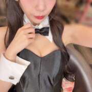 ヒメ日記 2025/11/27 18:04 投稿 みなみ JAPAN CLUB BUNNY LOUNGE