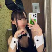 ヒメ日記 2025/11/28 15:30 投稿 みなみ JAPAN CLUB BUNNY LOUNGE