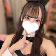 ヒメ日記 2025/11/29 05:32 投稿 みなみ JAPAN CLUB BUNNY LOUNGE