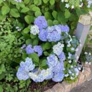 ヒメ日記 2025/06/13 08:29 投稿 道城ゆか プランタン大塚