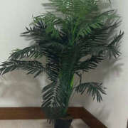 ヒメ日記 2025/11/26 14:48 投稿 道城ゆか プランタン大塚