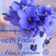 ヒメ日記 2025/11/28 16:00 投稿 道城ゆか プランタン大塚